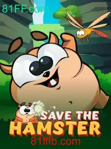 SavetheHamster: Um Jogo Empolgante de Estratégia e Raciocínio